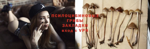 мяу мяу кристалл Строитель