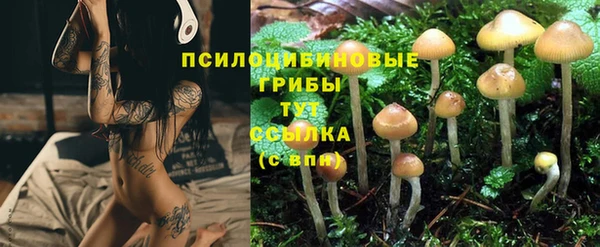 винт Ступино
