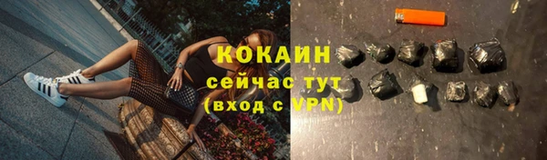 мяу мяу кристалл Строитель