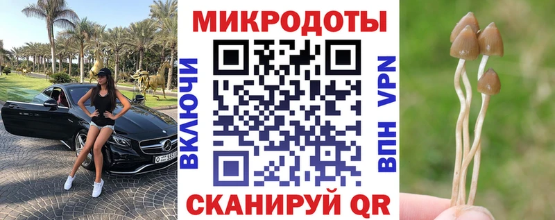 Псилоцибиновые грибы Psilocybe  Купить где  Спас-Деменск 