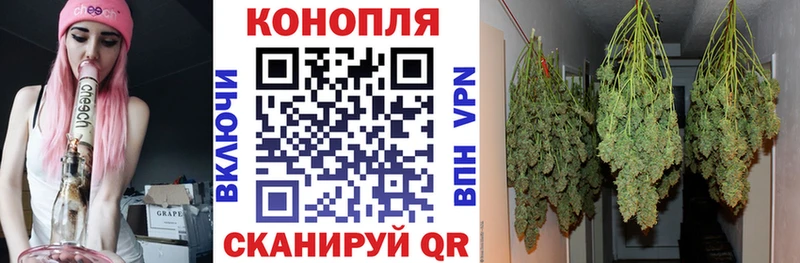 Шишки марихуана марихуана  Купить где  Спас-Деменск 
